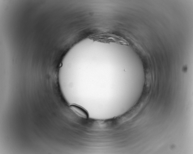 X0000103310613200809191919