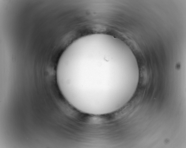 X0000103310614200809191919