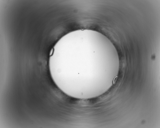 X0000103310615200809191919