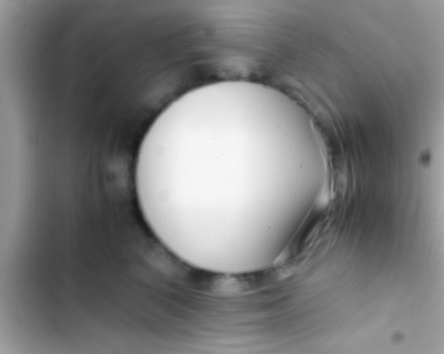 X0000103310616200809191919
