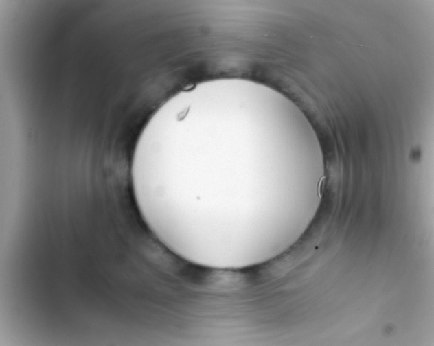 X0000103310617200809191919