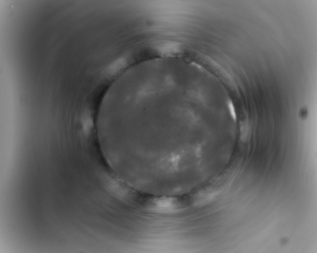 X0000103310618200809191919
