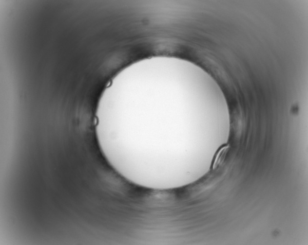 X0000103310619200809191919