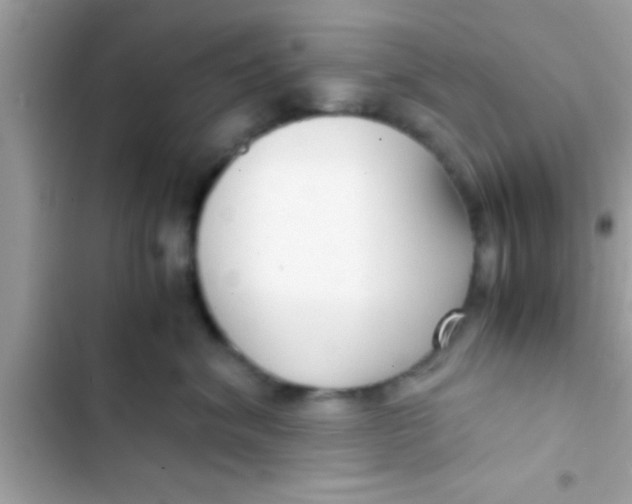 X0000103310620200809191919