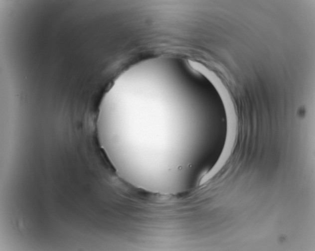 X0000103310621200809191919