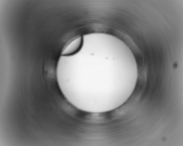 X0000103310622200809191919