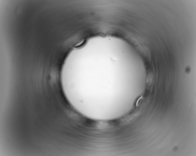 X0000103310623200809191919