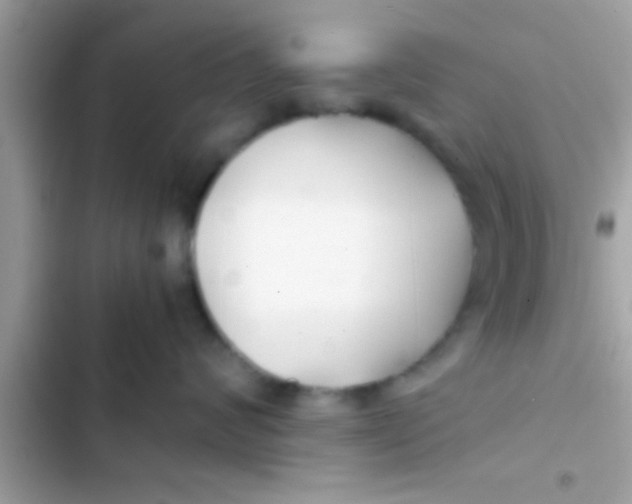 X0000103310624200809191919