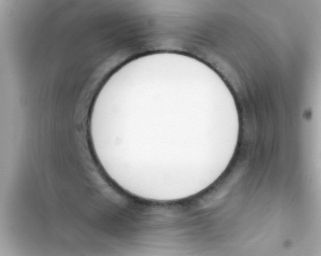X0000103310625200809191918