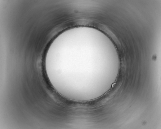 X0000103310626200809191918