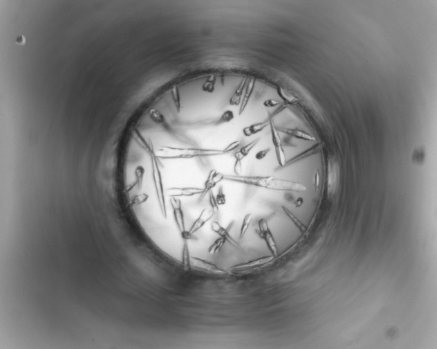 X0000103310627200809191918