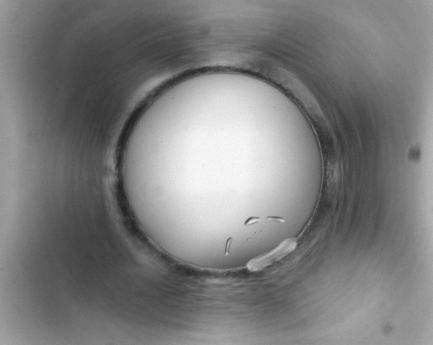 X0000103310628200809191918