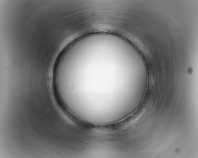 X0000103310630200809191918