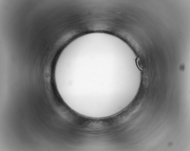 X0000103310631200809191918
