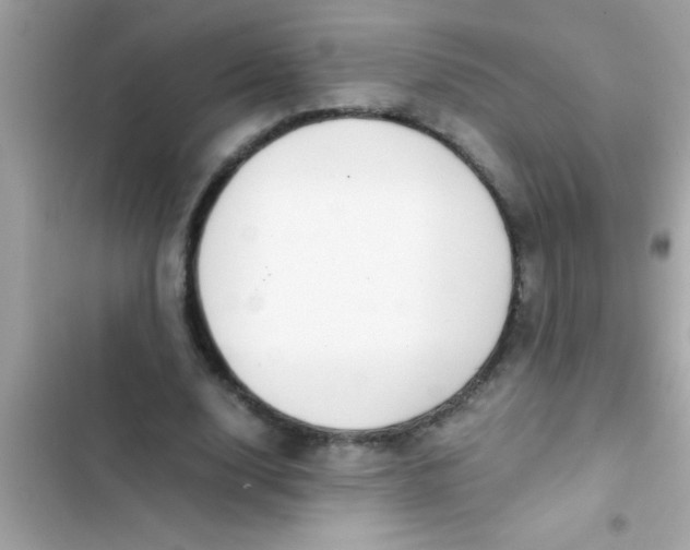 X0000103310632200809191918