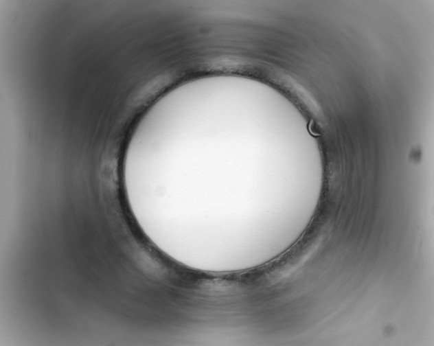 X0000103310633200809191918