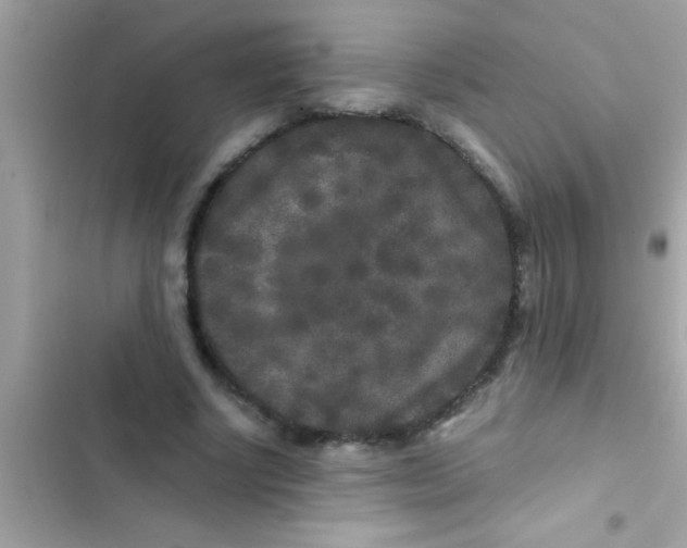 X0000103310634200809191918