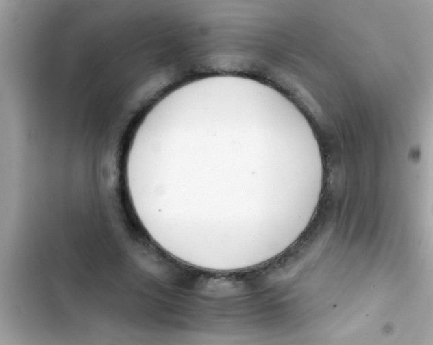 X0000103310635200809191918