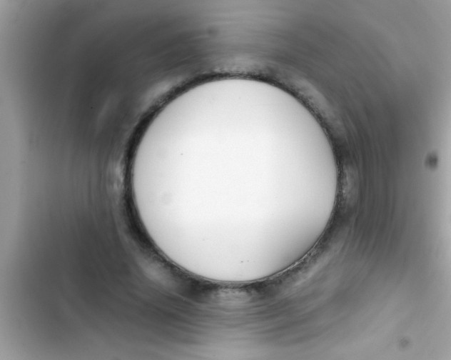 X0000103310636200809191918