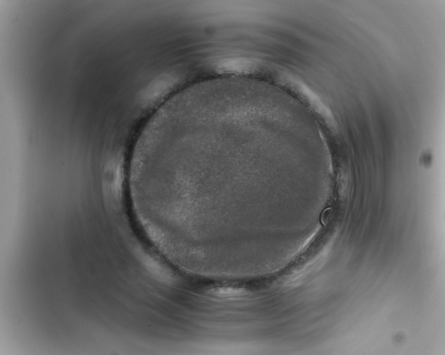 X0000103310637200809191918