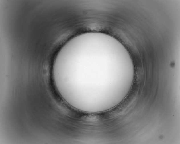 X0000103310639200809191918