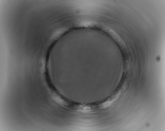 X0000103310640200809191918