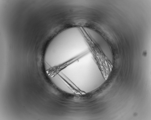 X0000103310641200809191918