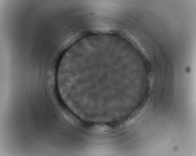 X0000103310642200809191918