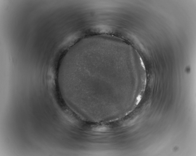X0000103310643200809191918