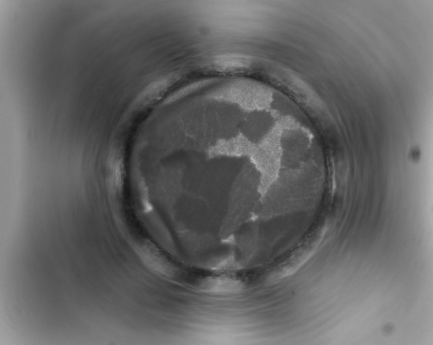 X0000103310644200809191918