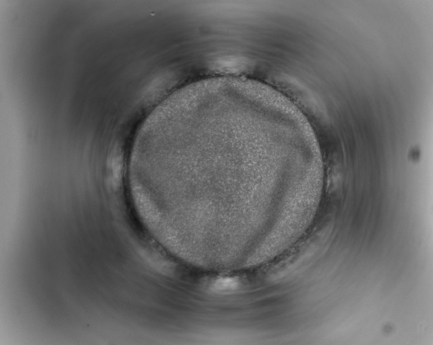 X0000103310647200809191918