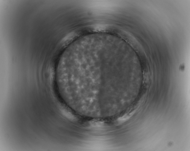 X0000103310648200809191918