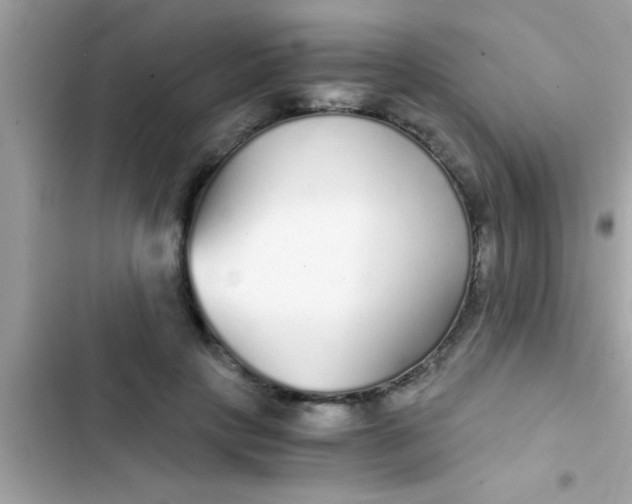 X0000103310649200809191918