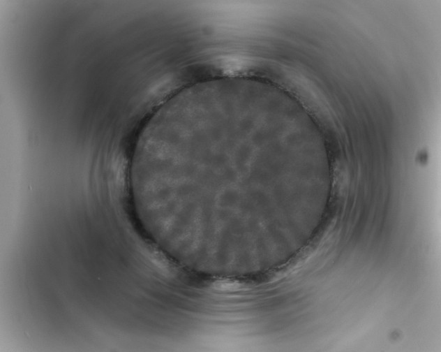 X0000103310650200809191918