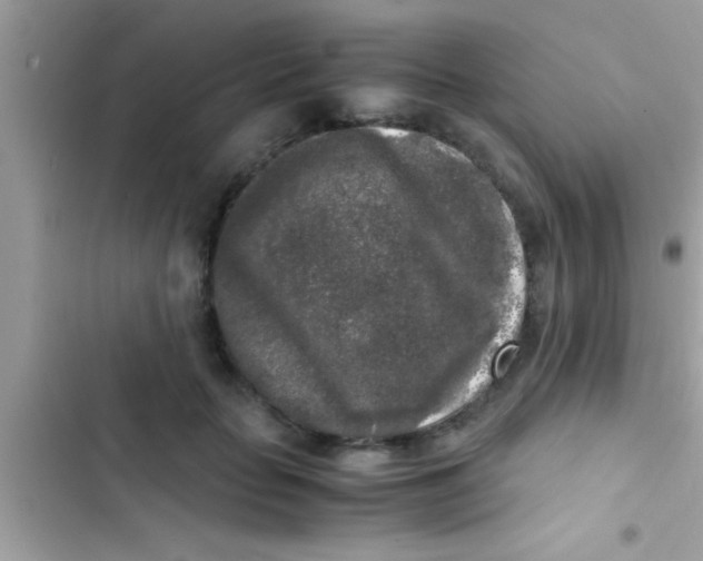 X0000103310653200809191918