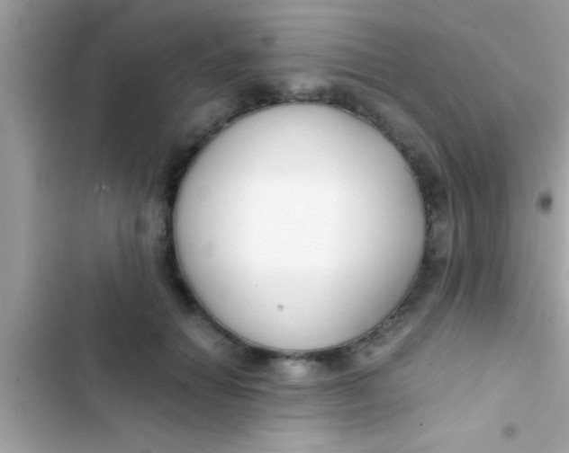 X0000103310654200809191918