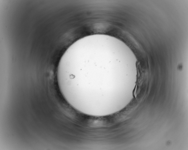 X0000103310655200809191918
