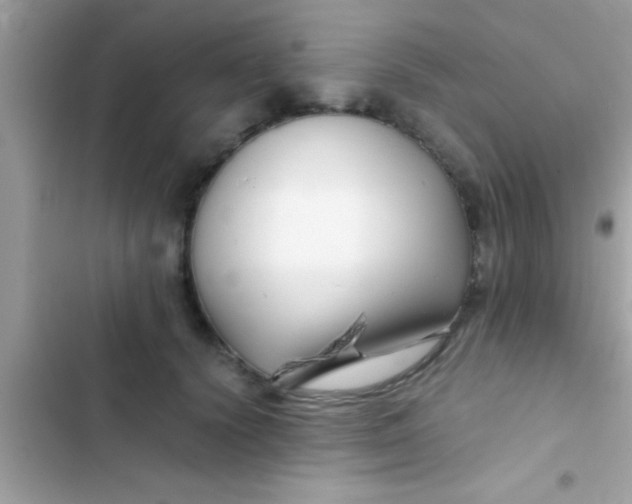 X0000103310656200809191919