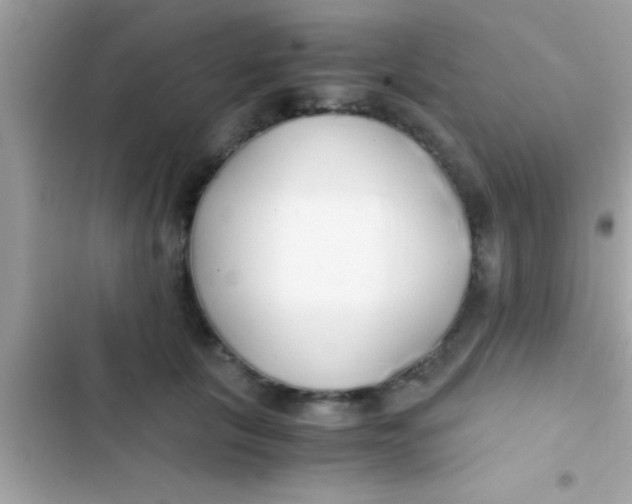X0000103310657200809191919