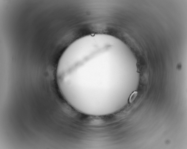 X0000103310658200809191919