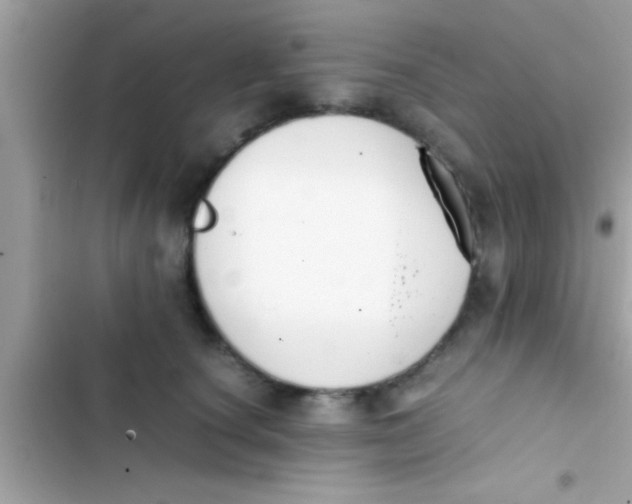 X0000103310660200809191919