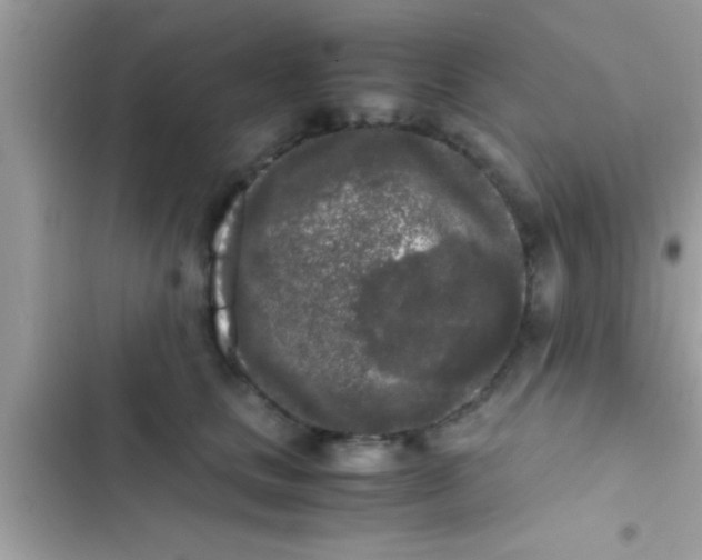 X0000103310661200809191919