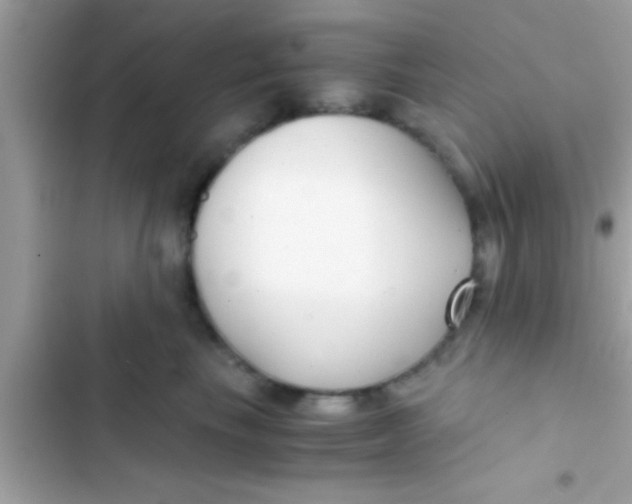X0000103310665200809191919