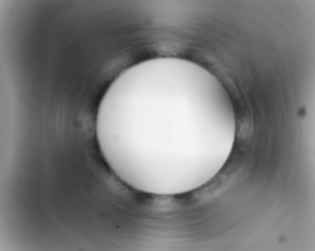 X0000103310666200809191919