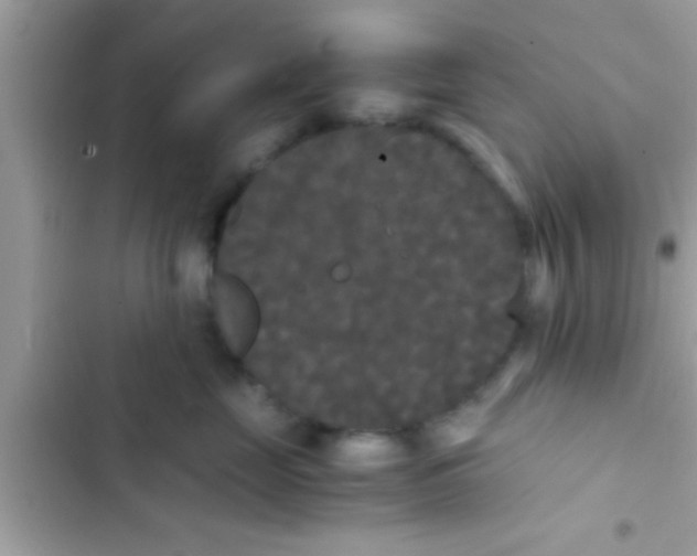 X0000103310669200809191919
