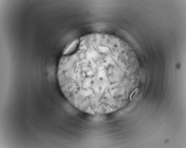 X0000103310670200809191919