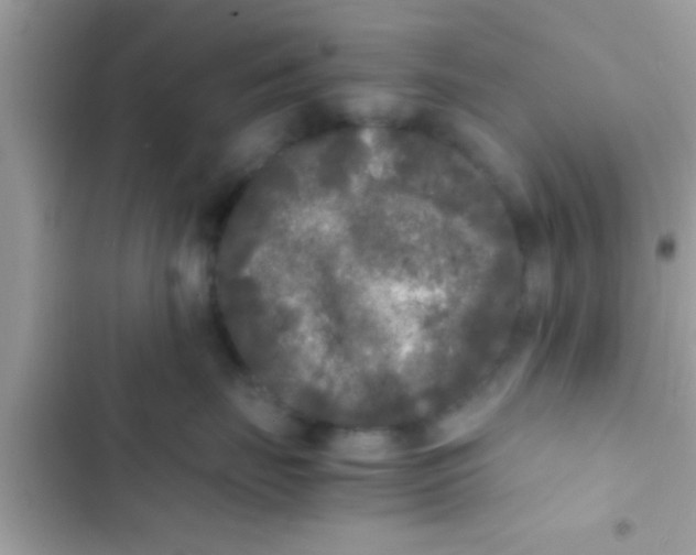 X0000103310671200809191919