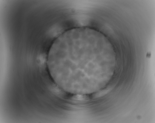 X0000103310672200809191919