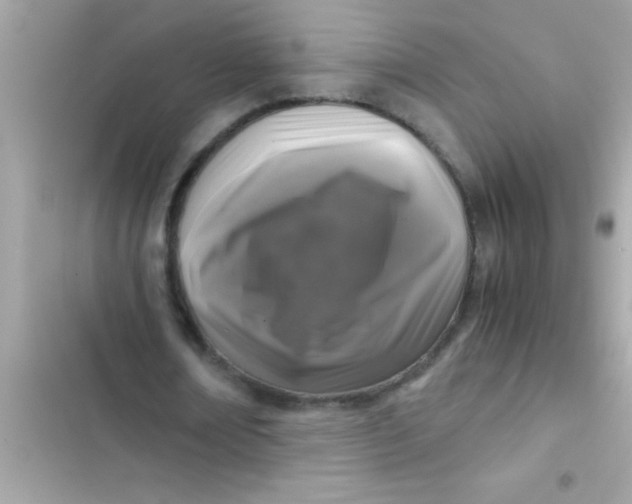 X0000103310674200809191918