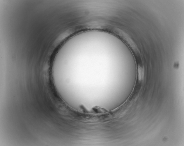 X0000103310675200809191918